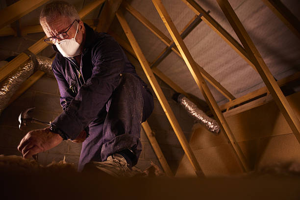 Best Insulation Installation Services in Warsaw, IN